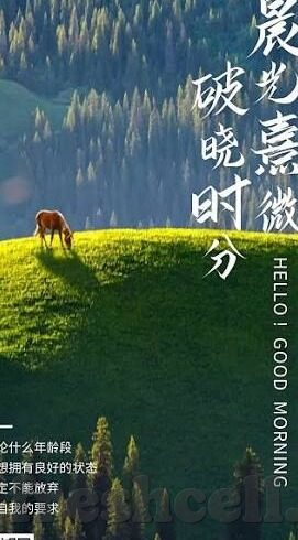 老司机成人精品视频在线观看-老司机乐园，成人内容在线观赏的多元视角